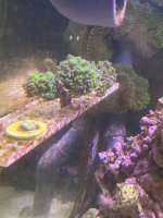 IMG_9779.jpeg