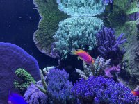 IMG_7373.jpeg
