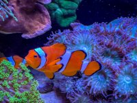 IMG_7377.jpeg