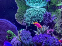 IMG_7373.jpeg