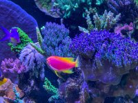 IMG_7369.jpeg