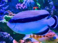 IMG_7366.jpeg