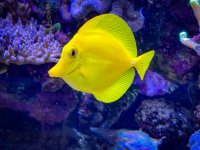 IMG_7365.jpeg
