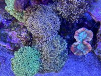 IMG_6037.JPG IMG_6037.JPG