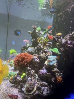 IMG_0164.jpg