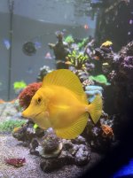 IMG_0163.jpg