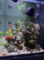 IMG_0144.jpg