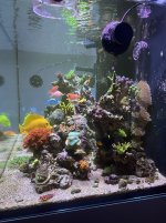 IMG_0143.jpg