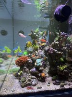 IMG_0142.jpg