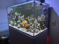 IMG_0139.jpg