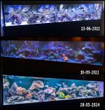 IMG_9914.jpeg