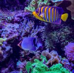IMG_7442_jpg.jpeg