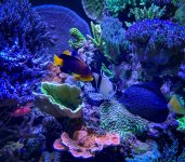 IMG_7439_jpg.jpeg
