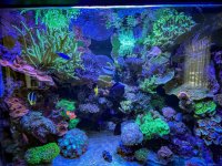 IMG_7441.jpeg