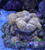 PXL_20240611_182656264~3.jpg