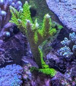 PXL_20240611_182713333.MP~4.jpg