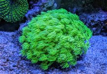 PXL_20240611_182721073.MP~3.jpg