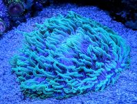 PXL_20240611_182725824~3.jpg