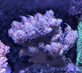 PXL_20240611_182737377~3.jpg