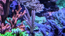 PXL_20240611_182851030~4.jpg