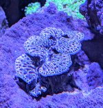 PXL_20240611_182901927.MP~3.jpg