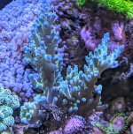 PXL_20240611_182952054~3.jpg