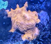 PXL_20240611_183157320~3.jpg