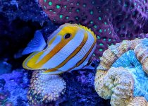 PXL_20240611_183243032~3.jpg