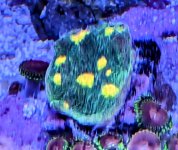 PXL_20240611_183320351~3.jpg