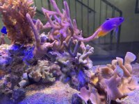 IMG_7454.jpeg