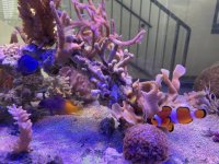 IMG_7462.jpeg