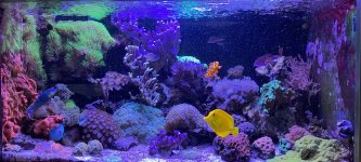 IMG_7215.jpg IMG_7215.jpg