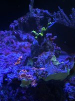 IMG_0263.jpeg