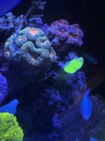 IMG_0264.jpeg