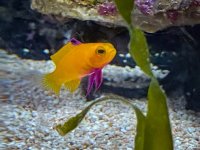 IMG_7532.jpeg