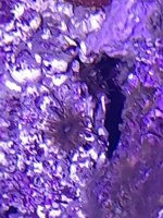 20240701_200459.jpg