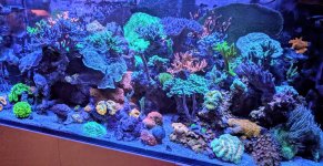 PXL_20240721_203600337.MP~2.jpg
