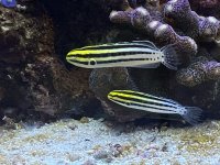 IMG_3194.jpeg