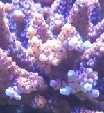 20240804_120606.jpg