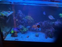 IMG_1050.jpeg