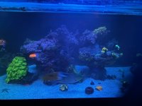 IMG_1048.jpeg