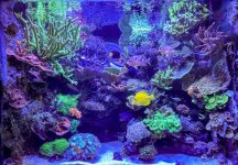 IMG_8021.jpeg