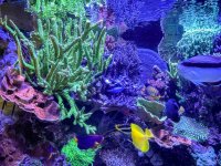 IMG_8023.jpeg