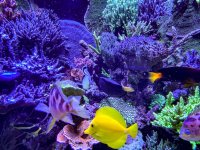 IMG_8025.jpeg