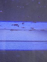 20240811_171701.jpg