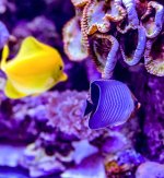 IMG_8049.jpeg