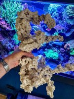 IMG_8071.jpeg