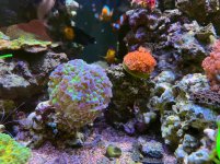 IMG_5828.jpg