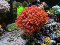 IMG_5835.jpg