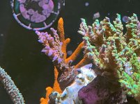 IMG_5861.jpg